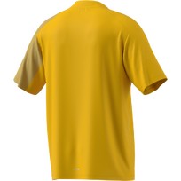 adidas Terrex