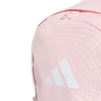 CLSC PCASE BP