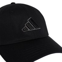 DAD CAP BIG LOG