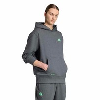 Худи Mercedes - AMG Petronas Formula One Team