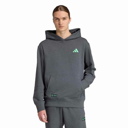 Худи Mercedes - AMG Petronas Formula One Team