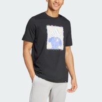 Футболка мужская Adidas DOODLE GRAPHIC TEE