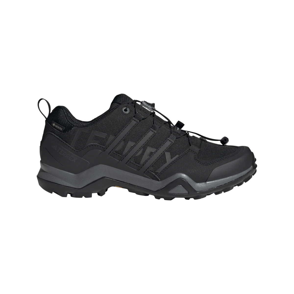 Кроссовки для хайкинга Terrex Swift R2 GORE-TEX